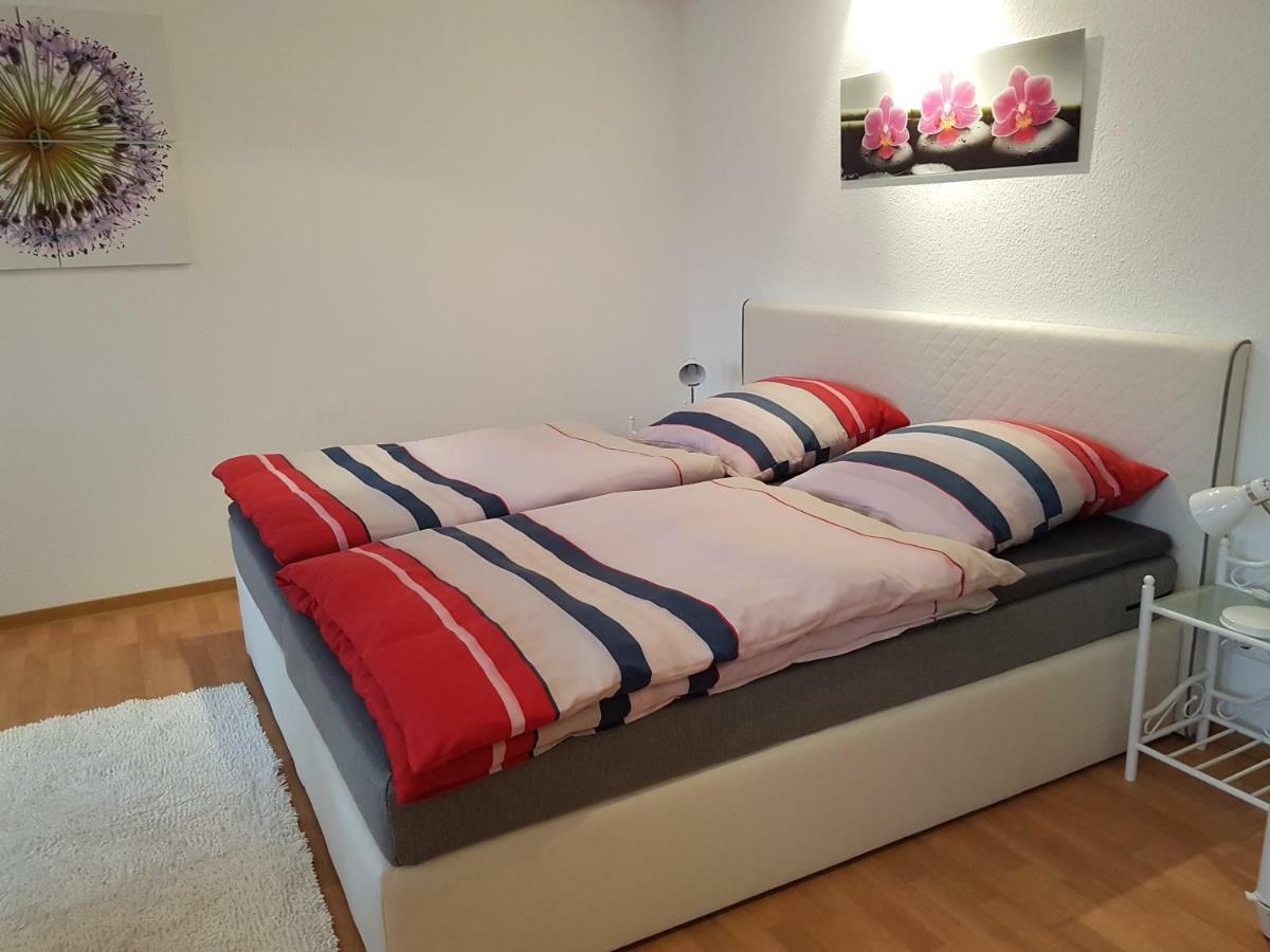 Appartement Schepper'S トリーア エクステリア 写真
